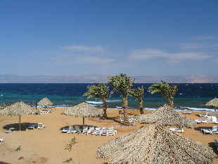 Royal Diving Center Aqaba