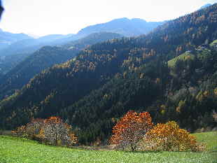 Wrzjoch