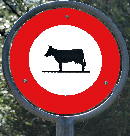 Kuh-Verbot