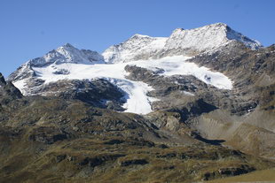 Bernina