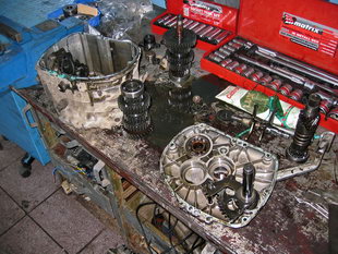 Samara - zerlegtes Getriebe