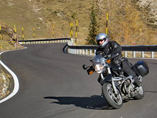 Passo Rolle - Barney