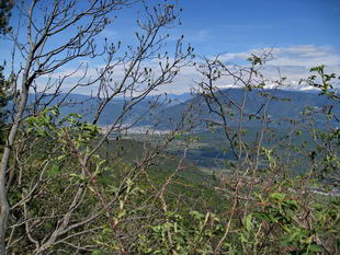 Mendelpass - Blick nach Bozen