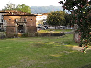 Lucca