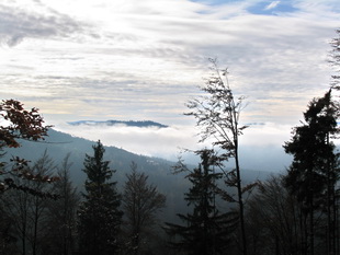 Bayerischer Wald - oberhalb Bodenmais