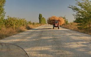 rumnische Landwirtschaft zum Ersten