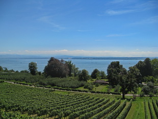 Am Bodensee