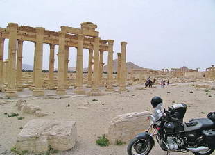 Palmyra (Syrien)